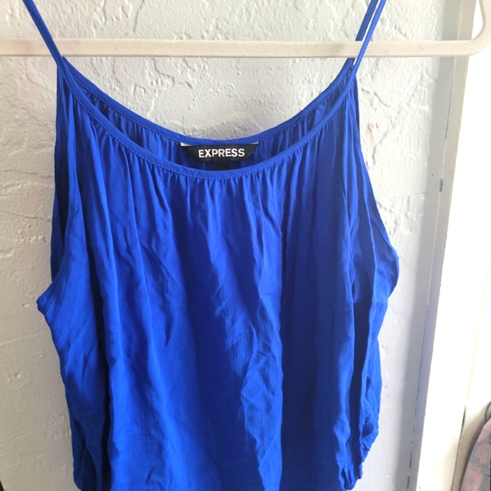 Blouse blu brand express size s